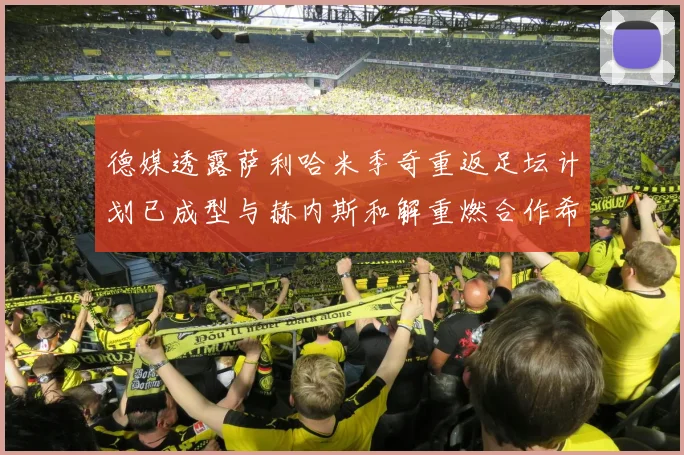 德媒透露萨利哈米季奇重返足坛计划已成型与赫内斯和解重燃合作希望